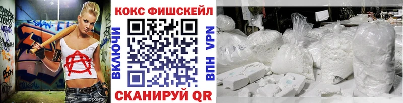 где можно купить   Беломорск  Кокаин Fish Scale 