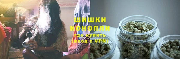 гидра Пенза