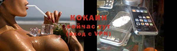 трава Беломорск